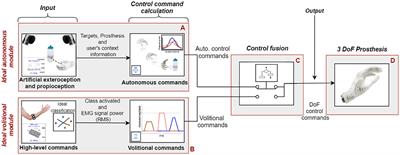 Impact of Shared Control Modalities on Performance and Usability of Semi-autonomous Prostheses